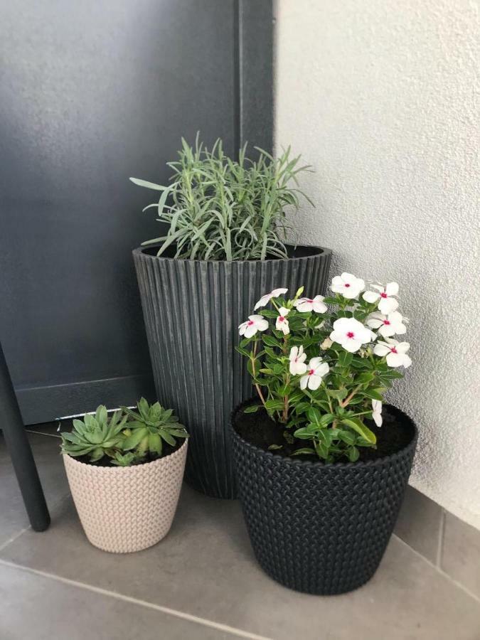 Premier Apartment Luceafarul Oradea Luaran gambar